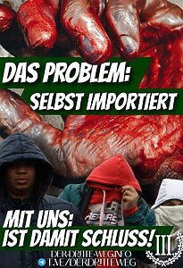 Plakatdesign mit der Aufschrift: "Das Problem: selbst importiert. Mit uns: ist damit Schluss!"