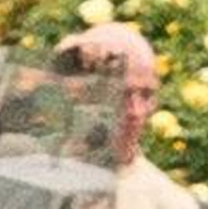 Portraitaufnahme einer Person